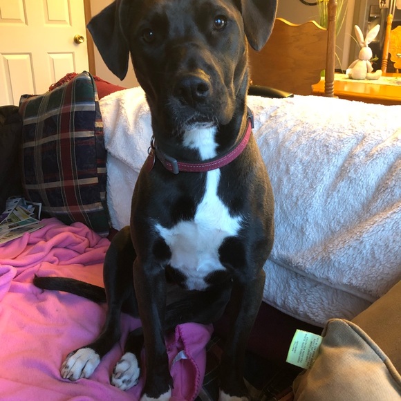 Please Share Closet 🙏 Posher needs help ❤️ - Picture 5 of 11